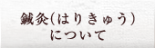 鍼灸（はりきゅう）について