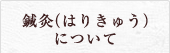 鍼灸（はりきゅう）について